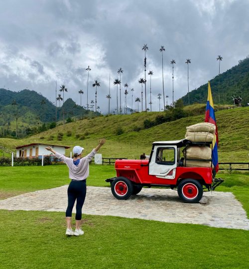 WhatsApp Image 2025-12-11 at 12.56.17